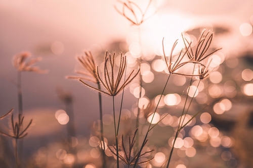 Ngo Thanh Tan / unsplash.com