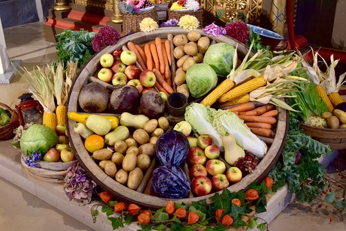 Erntedankmesse im Münster 2025 / Scopoli Gerhard